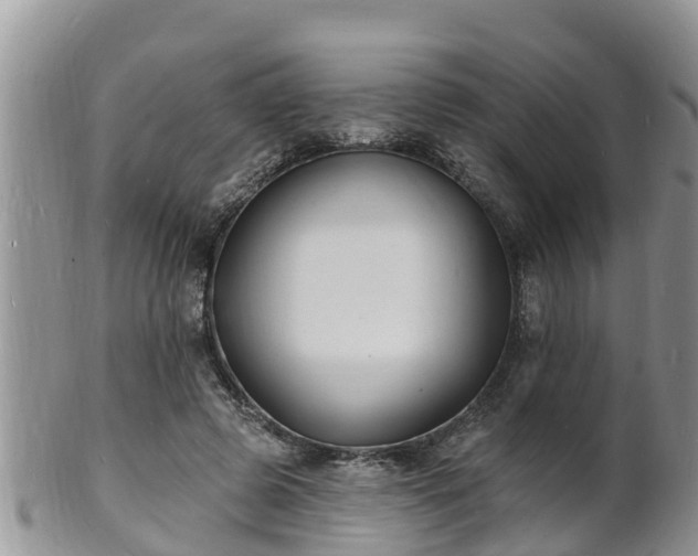 X0000102230545200808011228