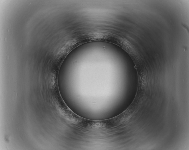 X0000102230546200808011228