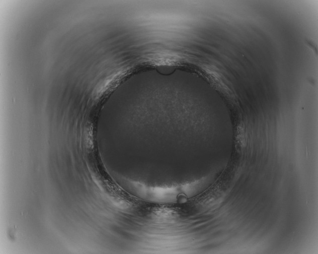 X0000102230547200808011228