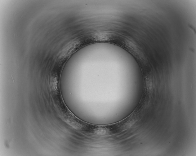 X0000102230549200808011228