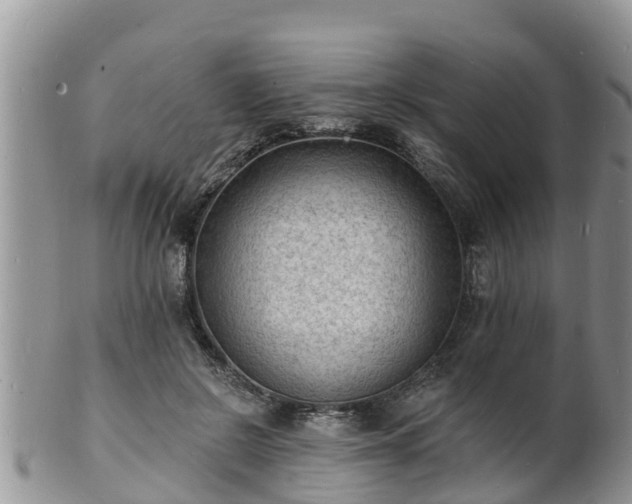X0000102230550200808011228