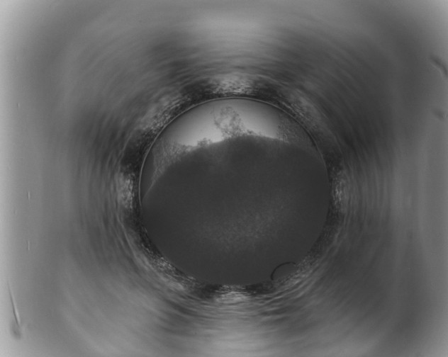 X0000102230551200808011228