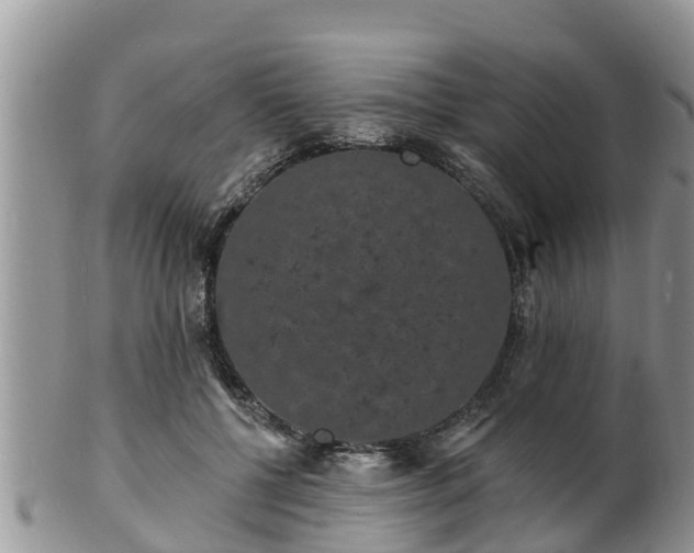 X0000102230552200808011228