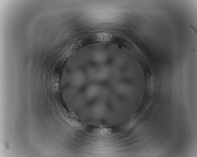 X0000102230553200808011228