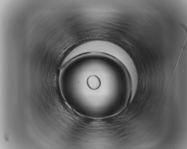X0000102230556200808011228