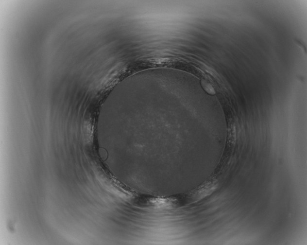 X0000102230558200808011228