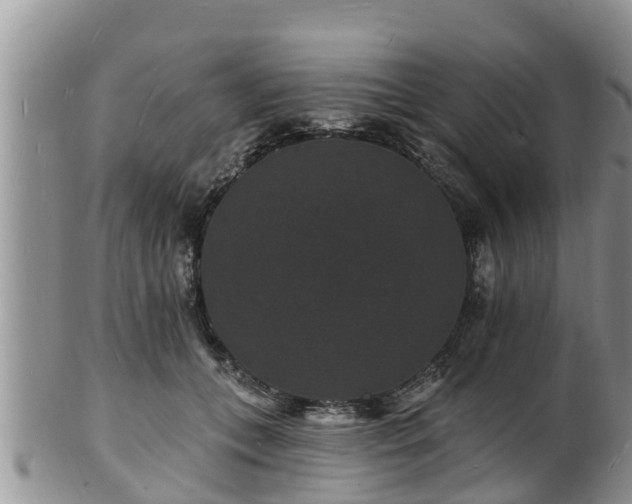 X0000102230559200808011228