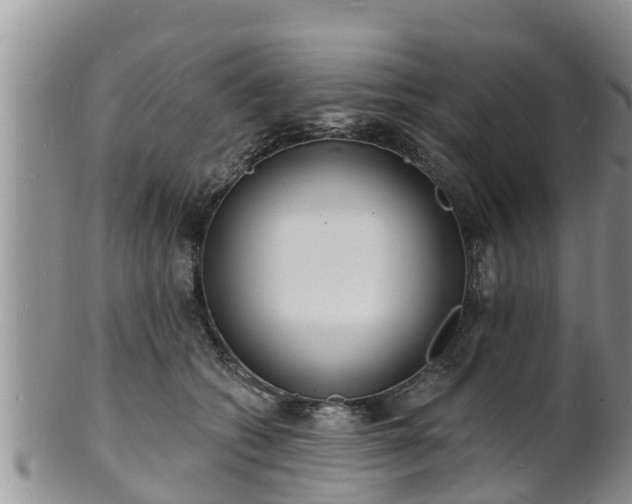 X0000102230562200808011228