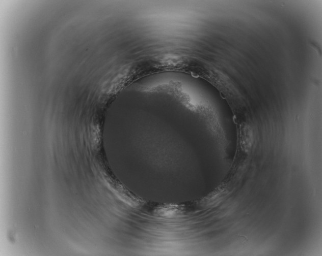 X0000102230563200808011228