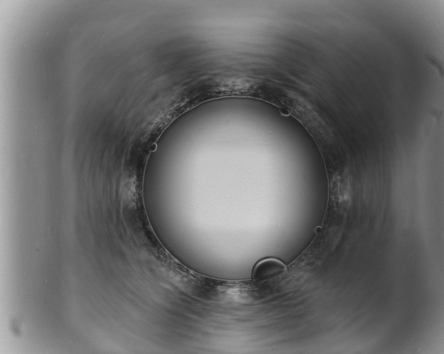 X0000102230564200808011228