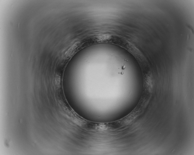 X0000102230565200808011228