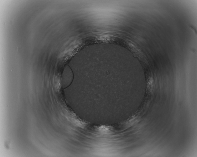 X0000102230566200808011228