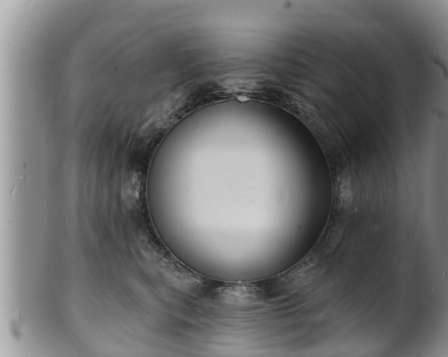 X0000102230567200808011228