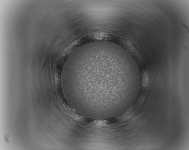X0000102230569200808011228
