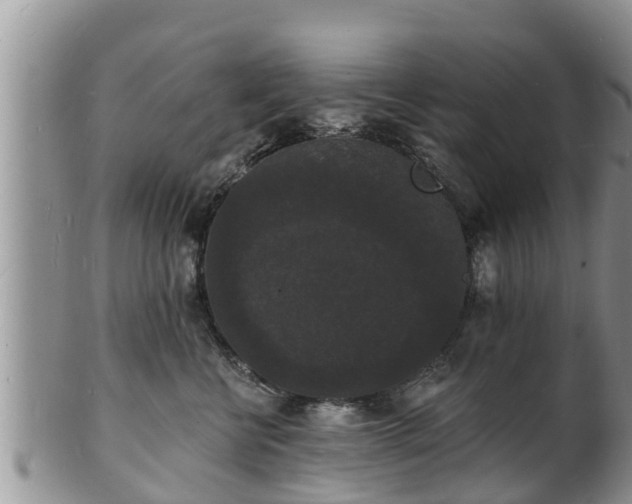 X0000102230570200808011228