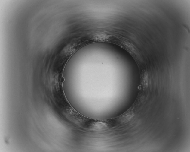 X0000102230572200808011228