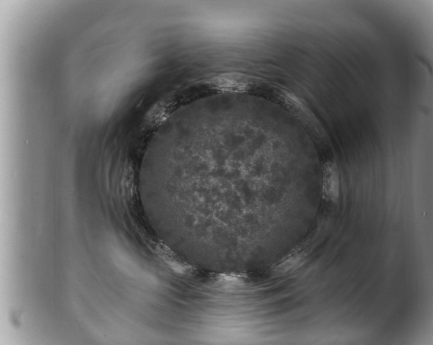 X0000102230573200808011228