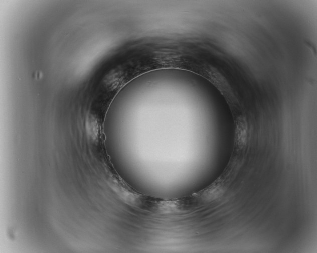X0000102230574200808011228
