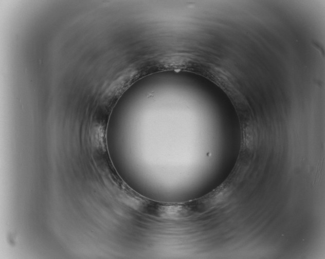 X0000102230575200808011228