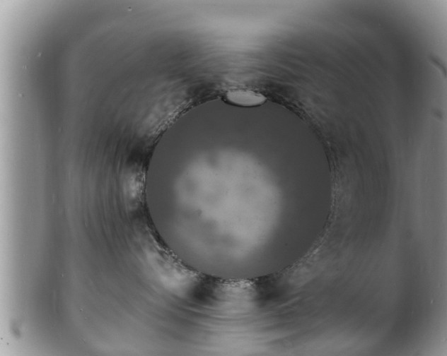 X0000102230576200808011228