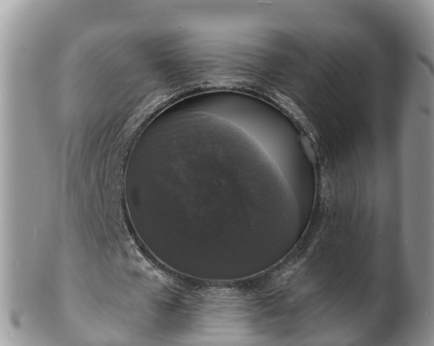 X0000102230577200808011227