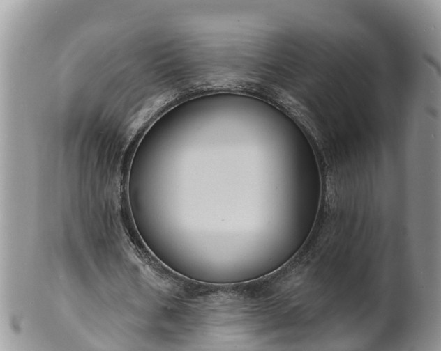 X0000102230578200808011227