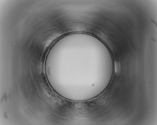 X0000102230579200808011227