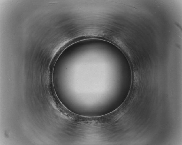 X0000102230580200808011227