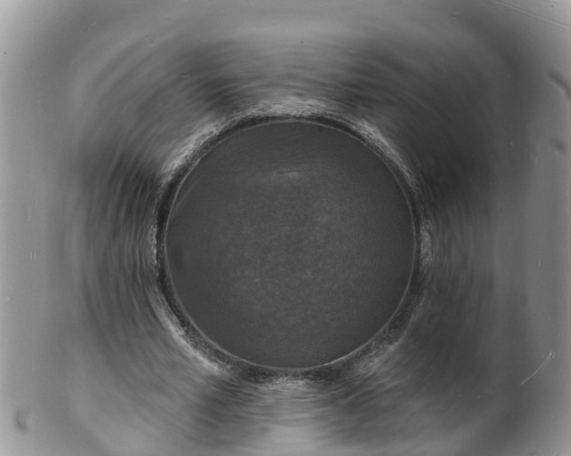 X0000102230581200808011227