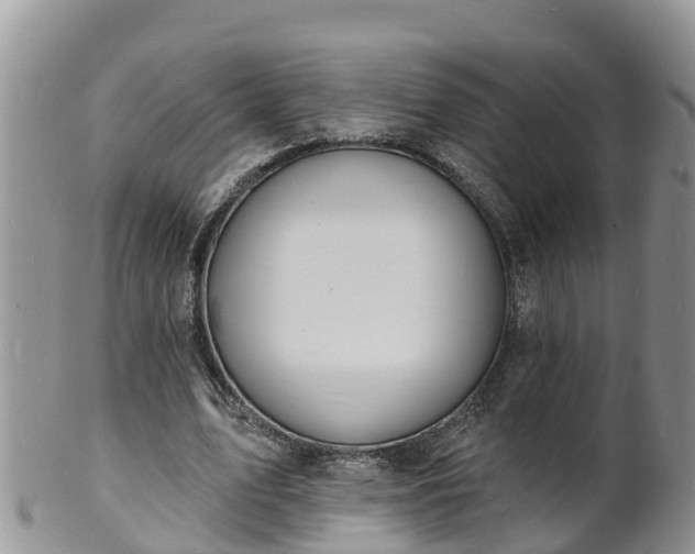 X0000102230583200808011227
