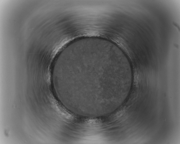 X0000102230584200808011227