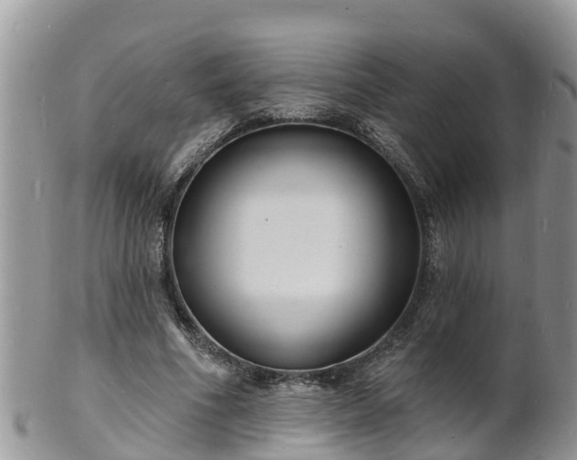 X0000102230586200808011227