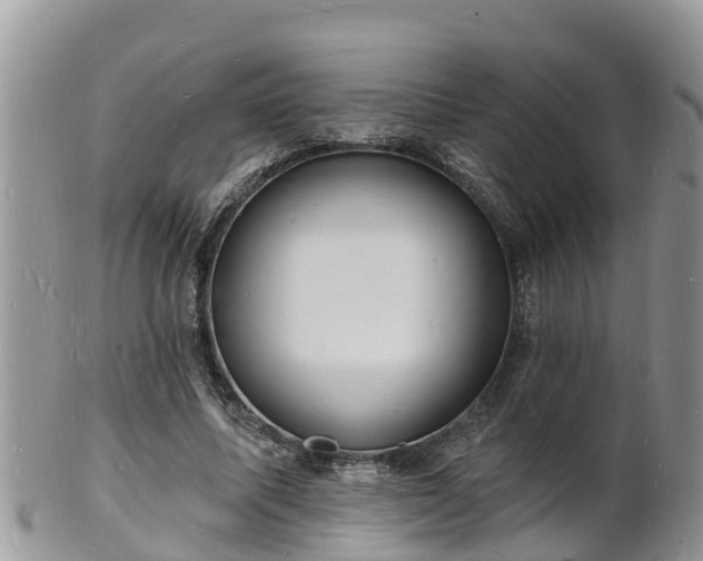X0000102230587200808011227