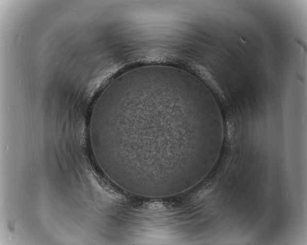 X0000102230588200808011227