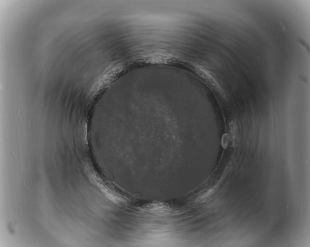 X0000102230589200808011227