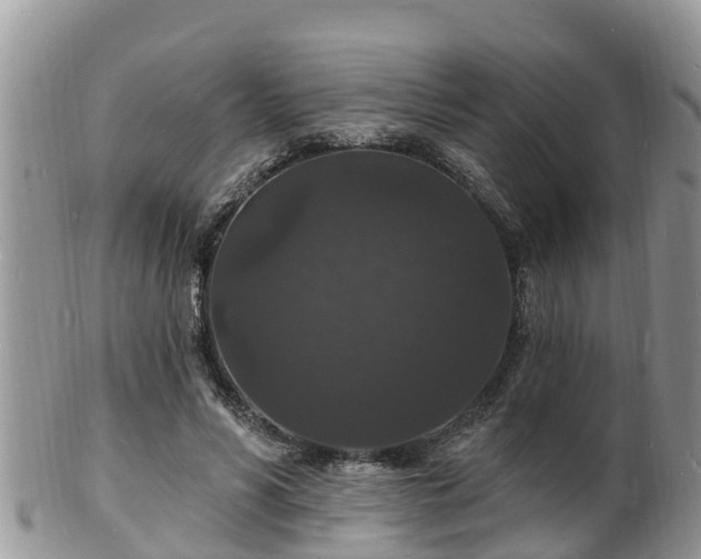X0000102230590200808011227