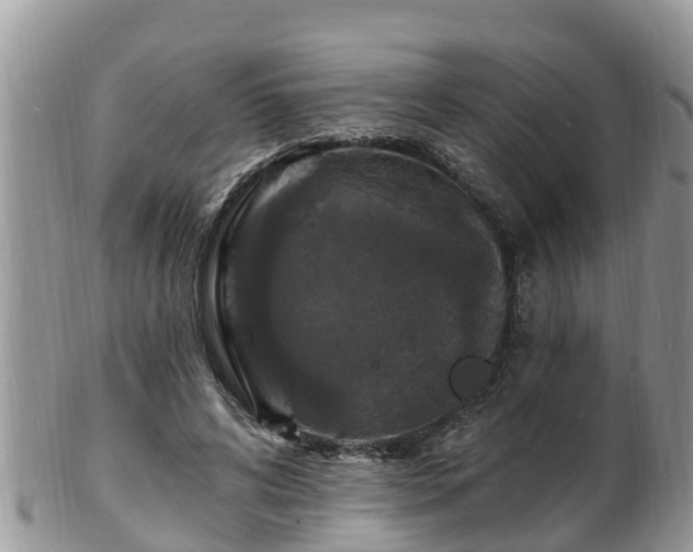 X0000102230592200808011227