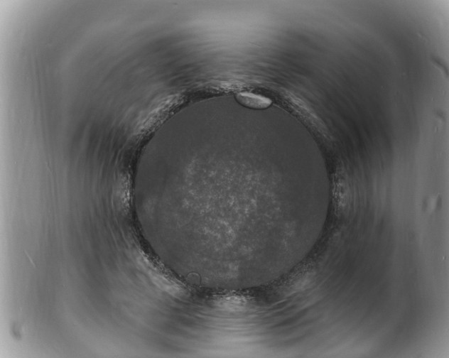 X0000102230593200808011227