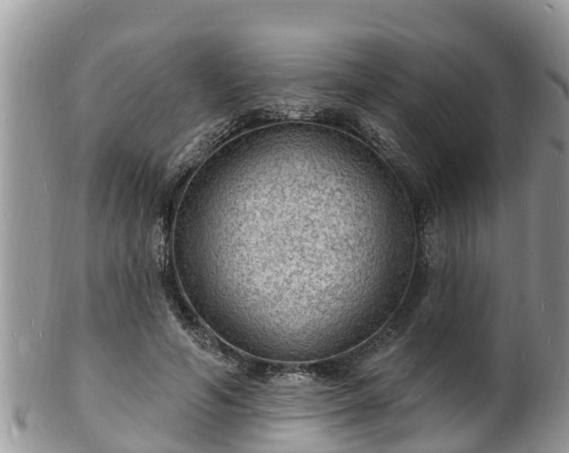 X0000102230594200808011227