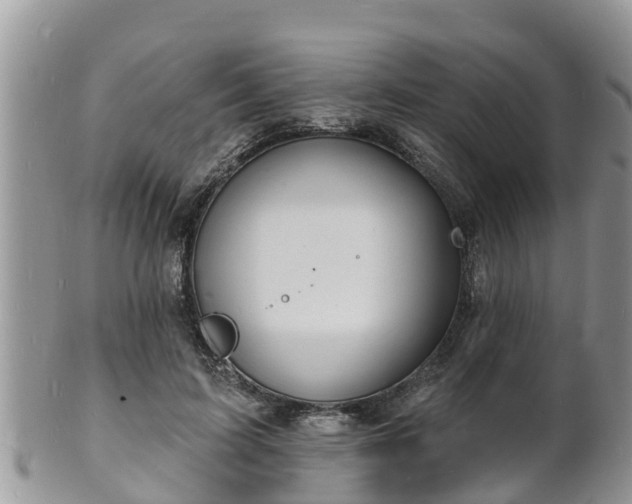 X0000102230595200808011227