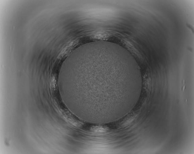 X0000102230597200808011227