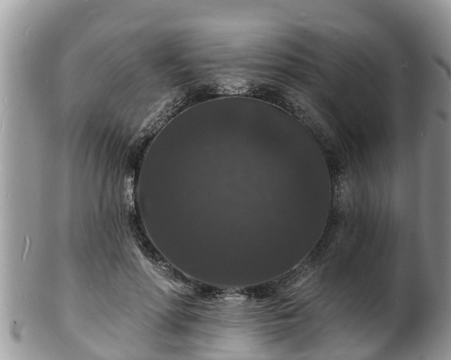 X0000102230598200808011227
