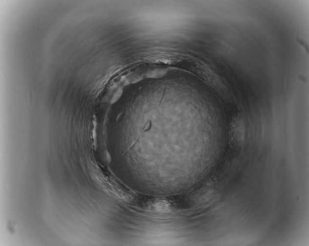 X0000102230600200808011227