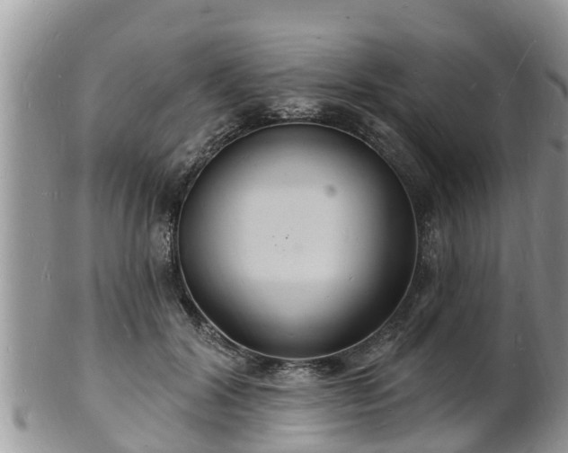 X0000102230604200808011227