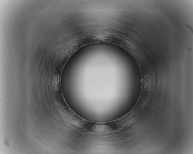 X0000102230605200808011227