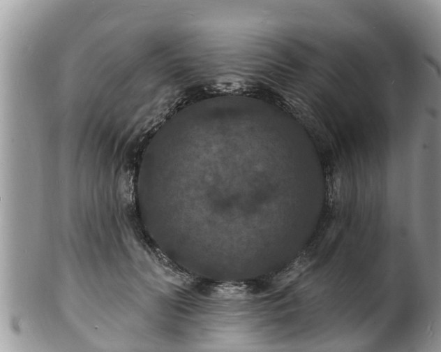 X0000102230606200808011227