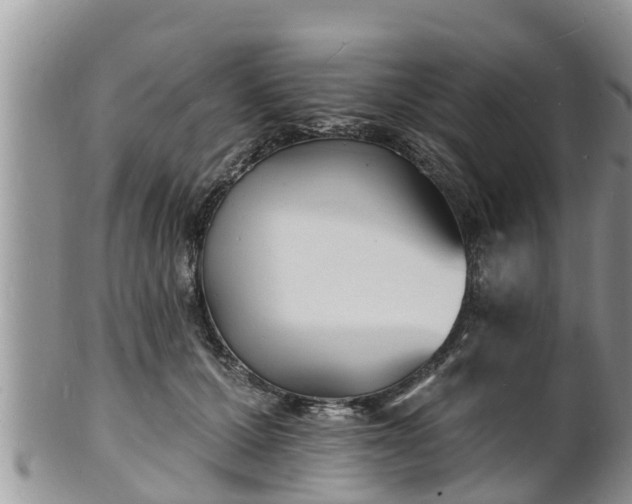 X0000102230607200808011227