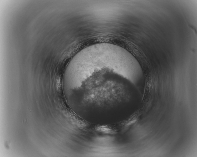 X0000102230610200808011227
