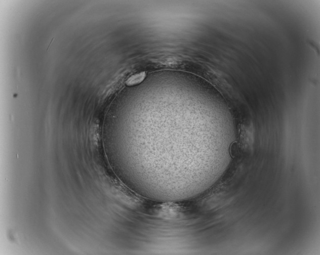 X0000102230612200808011227