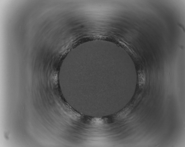 X0000102230613200808011227
